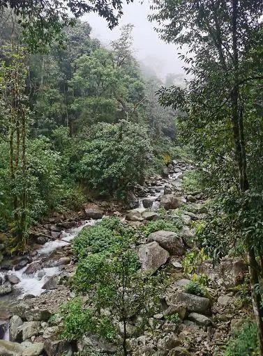 遇難地質人員進山為何穿一次性雨衣，初步判斷遇難原因最大可能是失溫