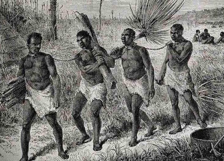 為什么科學(xué)家里黑人很少？(美國黑人比例)