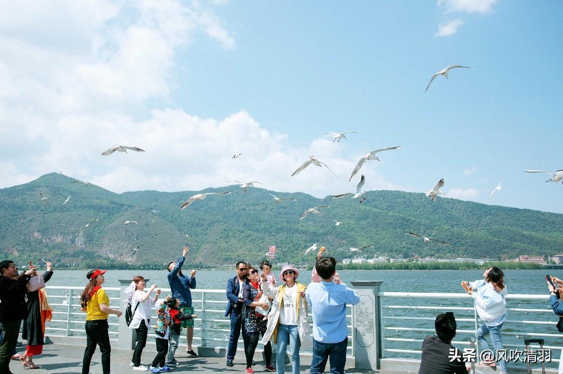 珠海宜居城市排名(廣東省最宜居的城市)