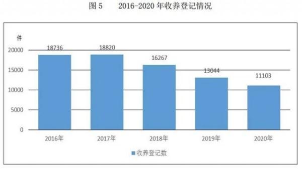 被賣嬰兒身份“洗白”調查，要理性看待所謂的良性違法行為不該縱容