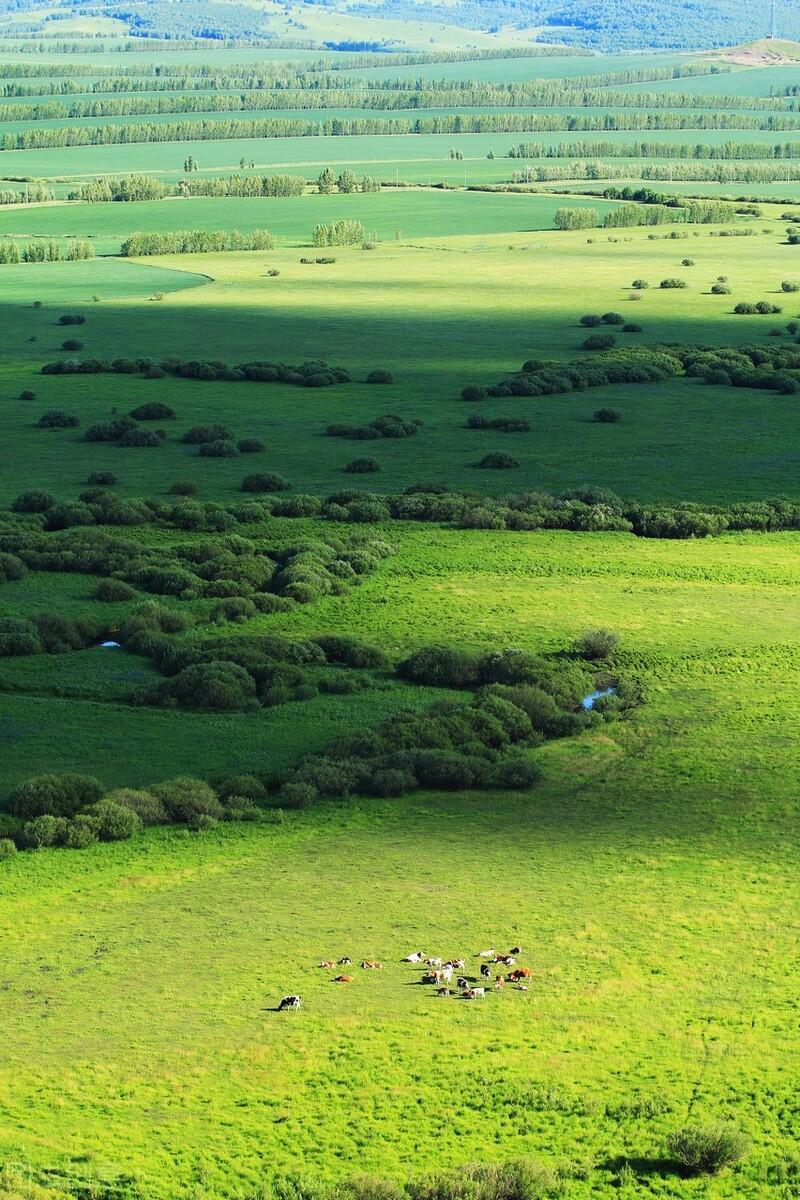 中國最涼快的十大城市(中國最涼爽的城市排名)