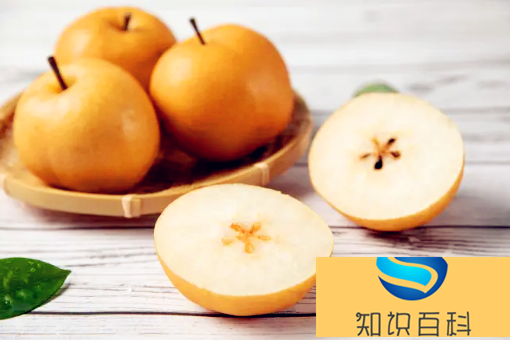 秋月梨和梨子哪一個(gè)止咳效果好