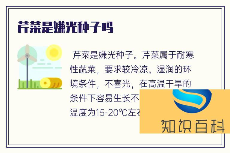 芹菜是嫌光種子嗎