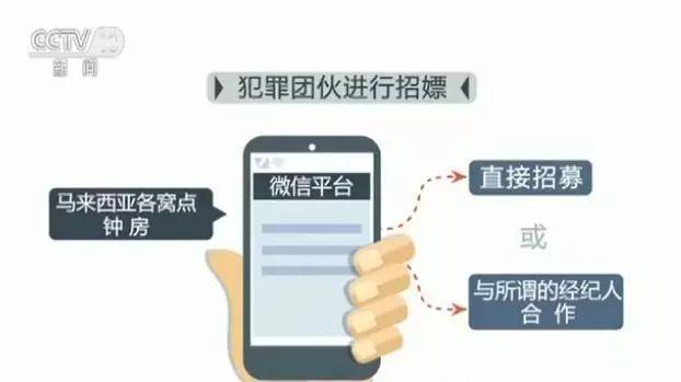 馬來西亞留學回國現狀(馬來西亞可以嫖嗎)