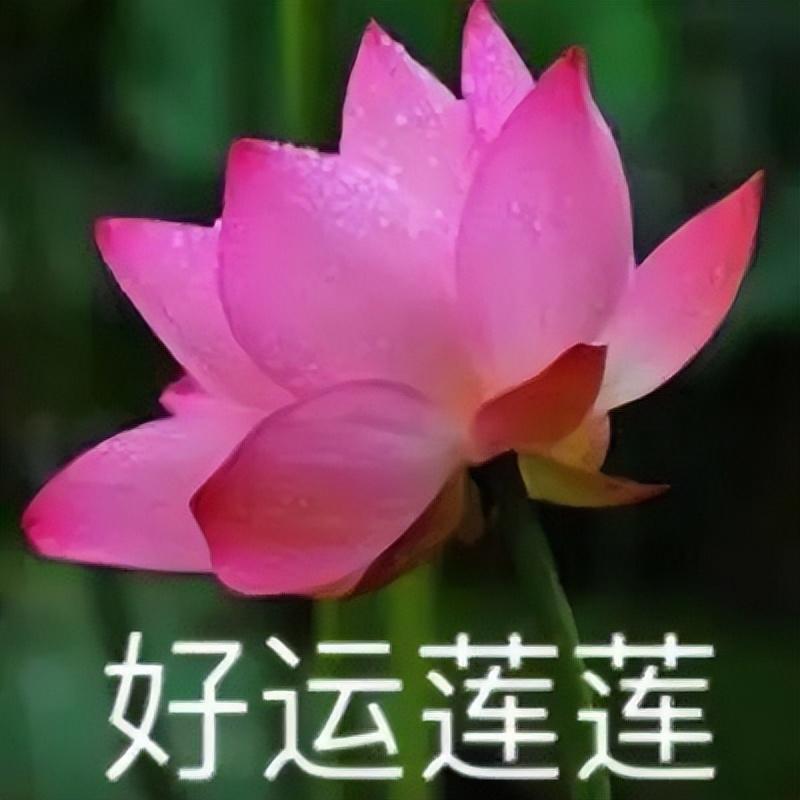 千萬不要激活醫(yī)保電子憑證 小心“醫(yī)保電子憑證”新騙局