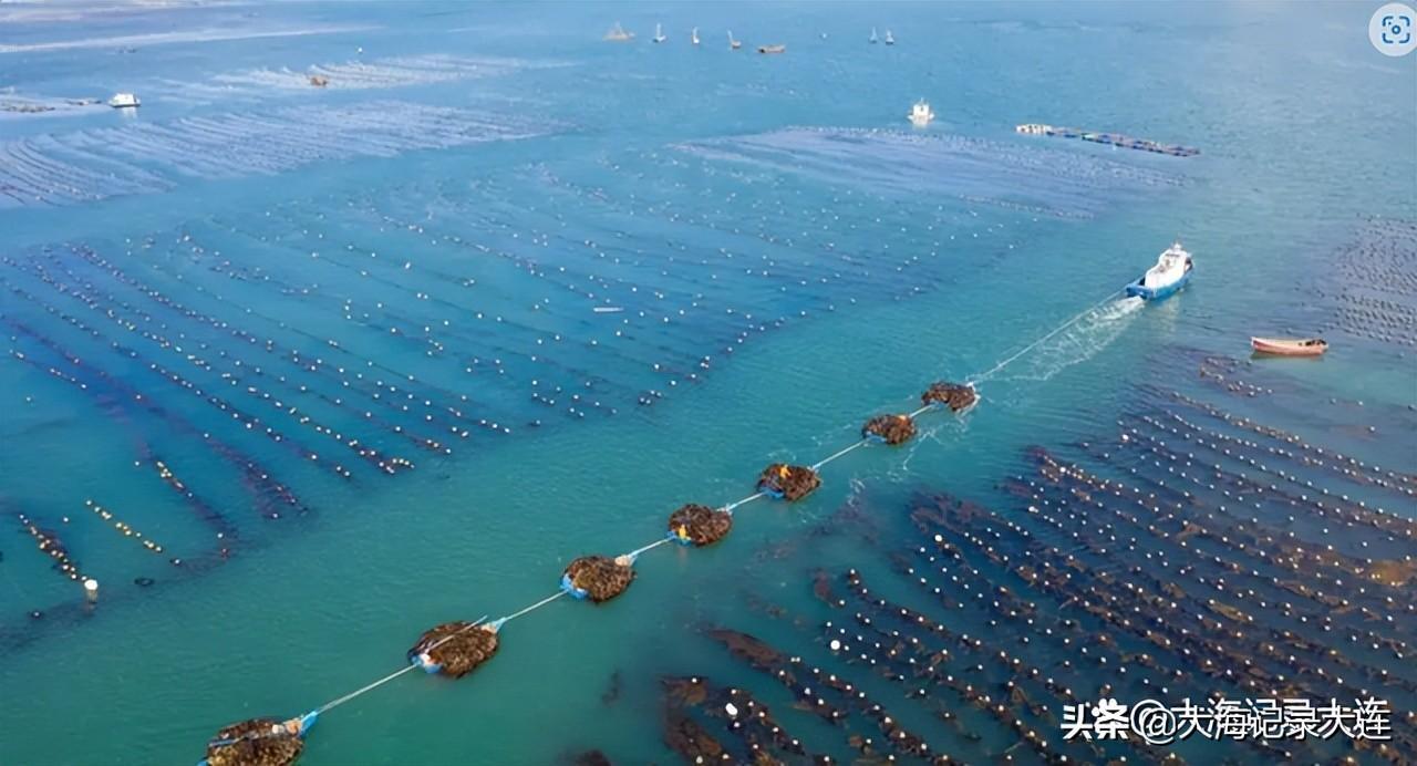 大連是特一線城市嗎(2022年大連被評為一線)