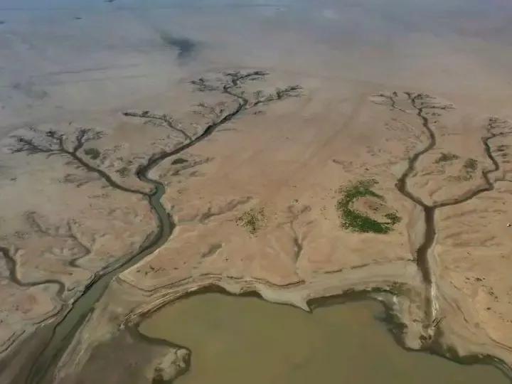 鄱陽湖上萬斤魚擱淺 20多人自費轉運 送萬斤擱淺魚到贛江
