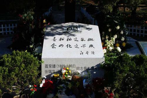 元帥的下落(十大元帥最終歸宿)