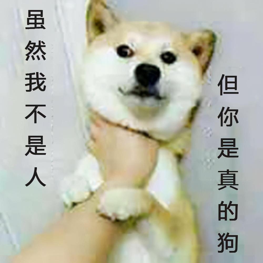 利比亞2022年現狀及勢力分布圖(現在去利比里亞安全嗎)
