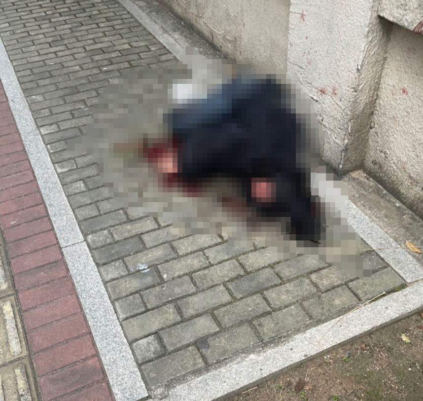 湛江女子被當街捅死姐姐發聲（曾兩次持刀跟蹤）
