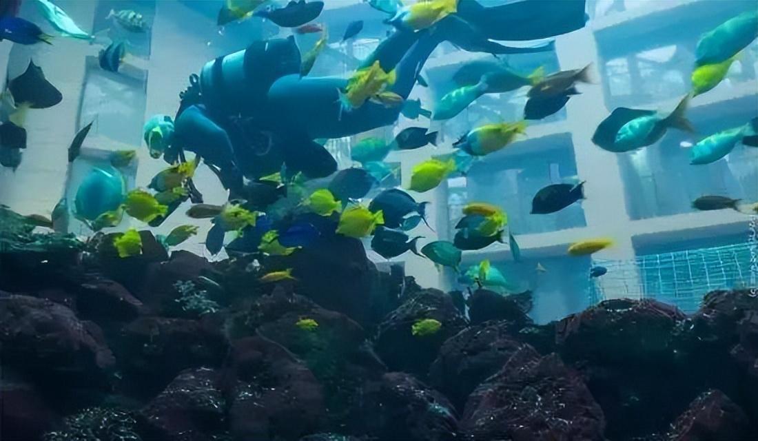 世界最大獨立圓柱體水族館爆裂，制造商介入調查