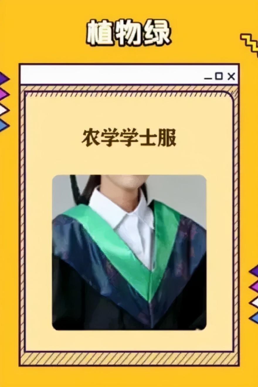 學(xué)士服顏色分類(學(xué)士服領(lǐng)口的顏色含義)