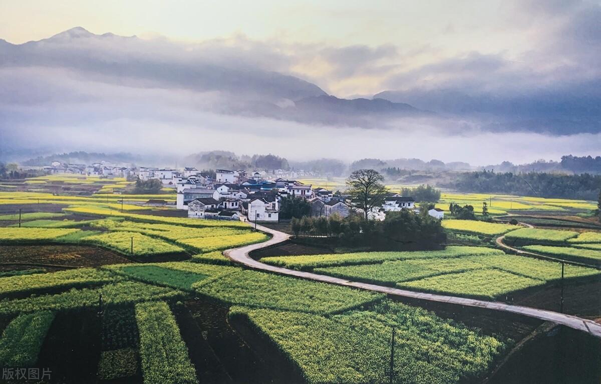 鄉村振興包括哪五個方面的振興（全面推進鄉村振興的五個問題）