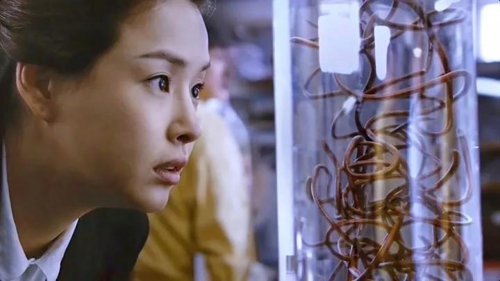 災難片排行榜前十名電影(視覺震撼的10部災難電影)