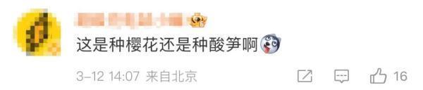 浙江選育出了“螺螄粉”櫻花，對喜歡螺螄粉和櫻花的人有雙倍快樂